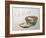 Bowl of Fish and Noodles (New Year Meal)-Teisai Hokuba-Framed Giclee Print