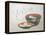 Bowl of Fish and Noodles (New Year Meal)-Teisai Hokuba-Framed Premier Image Canvas