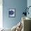 Bowl of Fresh Blueberries on Striped Cloth-Yvonne Duivenvoorden-Framed Premier Image Canvas displayed on a wall