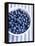 Bowl of Fresh Blueberries on Striped Cloth-Yvonne Duivenvoorden-Framed Premier Image Canvas