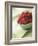 Bowl of Fresh Raspberries-Clinton Hussey-Framed Photographic Print