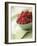 Bowl of Fresh Raspberries-Clinton Hussey-Framed Photographic Print