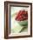 Bowl of Fresh Raspberries-Clinton Hussey-Framed Photographic Print