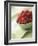 Bowl of Fresh Raspberries-Clinton Hussey-Framed Photographic Print