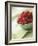 Bowl of Fresh Raspberries-Clinton Hussey-Framed Photographic Print