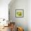 Bowl of Fruit I-Ethan Harper-Framed Art Print displayed on a wall