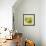 Bowl of Fruit I-Ethan Harper-Framed Art Print displayed on a wall