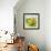 Bowl of Fruit I-Ethan Harper-Framed Art Print displayed on a wall