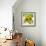 Bowl of Fruit-Dale Payson-Framed Giclee Print displayed on a wall