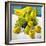 Bowl of Fruit-Dale Payson-Framed Giclee Print