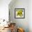 Bowl of Fruit-Dale Payson-Framed Giclee Print displayed on a wall