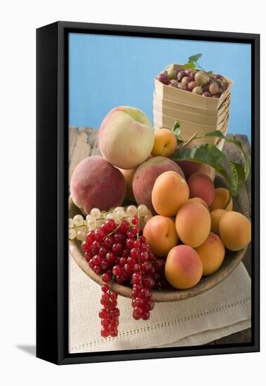 Bowl of Mixed Fruit-Eising Studio - Food Photo and Video-Framed Premier Image Canvas