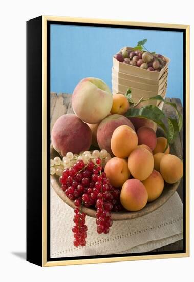 Bowl of Mixed Fruit-Eising Studio - Food Photo and Video-Framed Premier Image Canvas