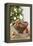 Bowl of Nuts by Holiday Decorations-Lew Robertson-Framed Premier Image Canvas