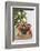 Bowl of Nuts by Holiday Decorations-Lew Robertson-Framed Photographic Print