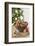 Bowl of Nuts by Holiday Decorations-Lew Robertson-Framed Photographic Print