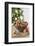 Bowl of Nuts by Holiday Decorations-Lew Robertson-Framed Photographic Print