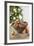 Bowl of Nuts by Holiday Decorations-Lew Robertson-Framed Photographic Print