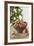 Bowl of Nuts by Holiday Decorations-Lew Robertson-Framed Photographic Print