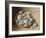 Bowl of Pebbles, 2005-Jenny Barron-Framed Giclee Print