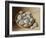 Bowl of Pebbles, 2005-Jenny Barron-Framed Giclee Print