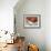 Bowl of Pomegranates & Xmas Tree Baubles as Table Decoration-Luzia Ellert-Framed Photographic Print displayed on a wall