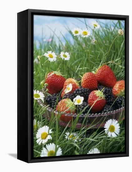 Bowl of Strawberries and Blackberries in Grass with Daisies-Linda Burgess-Framed Premier Image Canvas