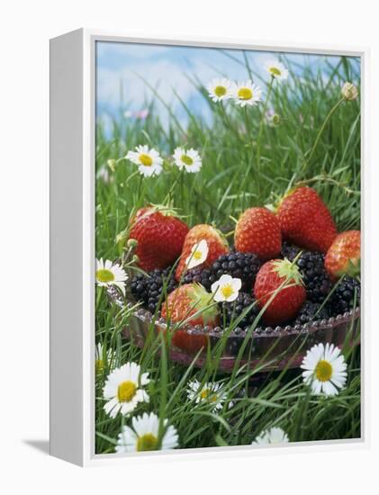 Bowl of Strawberries and Blackberries in Grass with Daisies-Linda Burgess-Framed Premier Image Canvas