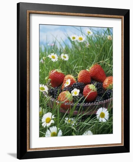 Bowl of Strawberries and Blackberries in Grass with Daisies-Linda Burgess-Framed Photographic Print