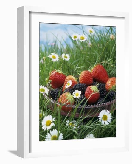 Bowl of Strawberries and Blackberries in Grass with Daisies-Linda Burgess-Framed Photographic Print