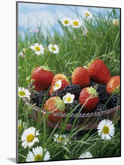 Bowl of Strawberries and Blackberries in Grass with Daisies-Linda Burgess-Mounted Photographic Print