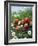 Bowl of Strawberries and Blackberries in Grass with Daisies-Linda Burgess-Framed Photographic Print