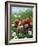 Bowl of Strawberries and Blackberries in Grass with Daisies-Linda Burgess-Framed Photographic Print