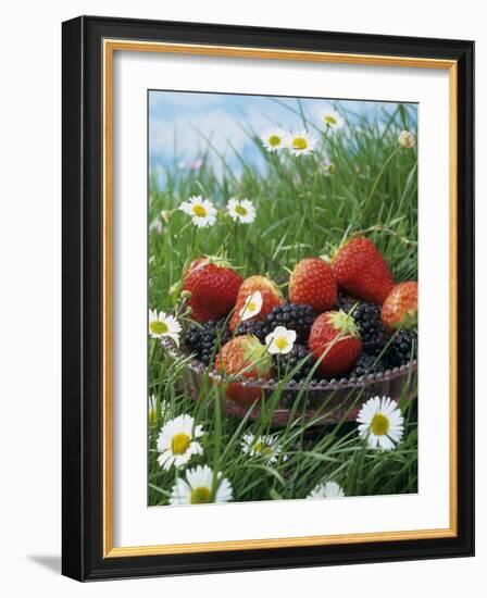 Bowl of Strawberries and Blackberries in Grass with Daisies-Linda Burgess-Framed Photographic Print