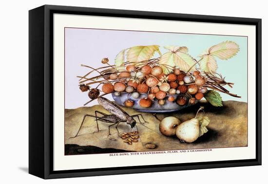 Bowl of Strawberries, Pears and a Grasshopper-Giovanna Garzoni-Framed Stretched Canvas