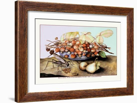 Bowl of Strawberries, Pears and a Grasshopper-Giovanna Garzoni-Framed Art Print