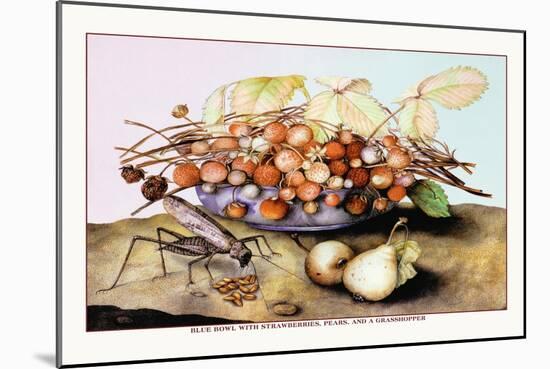 Bowl of Strawberries, Pears and a Grasshopper-Giovanna Garzoni-Mounted Art Print