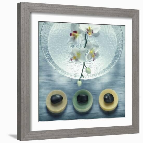 Bowl of Water and Soaps-null-Framed Photographic Print