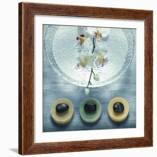 Bowl of Water and Soaps-null-Framed Photographic Print