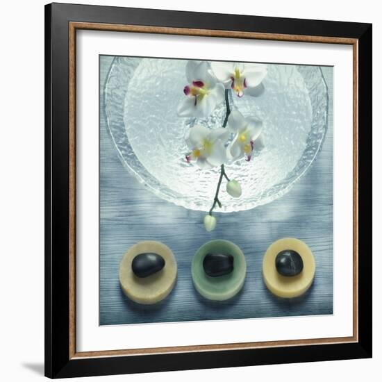 Bowl of Water and Soaps-null-Framed Photographic Print