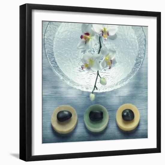 Bowl of Water and Soaps-null-Framed Photographic Print