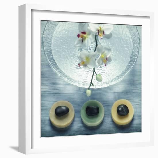 Bowl of Water and Soaps-null-Framed Photographic Print