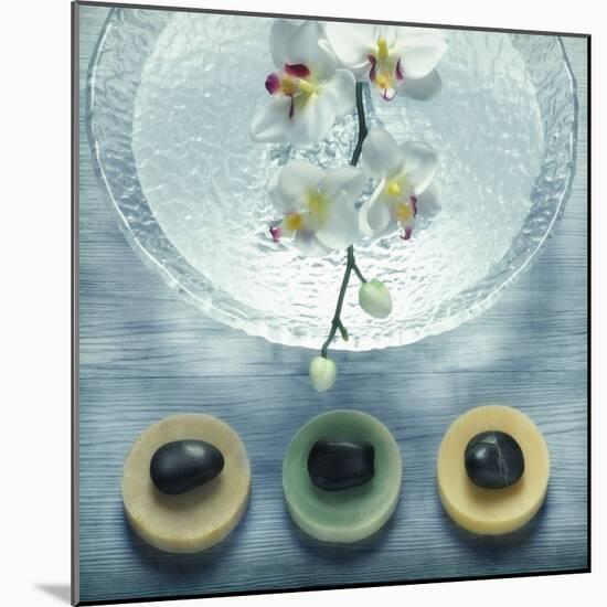 Bowl of Water and Soaps-null-Mounted Photographic Print