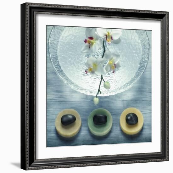 Bowl of Water and Soaps-null-Framed Photographic Print