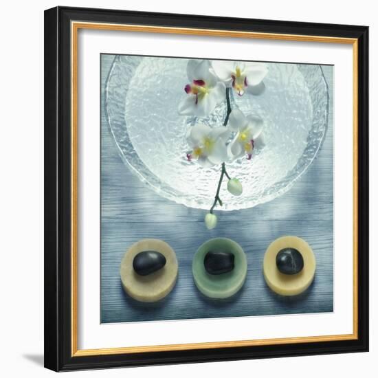 Bowl of Water and Soaps-null-Framed Photographic Print