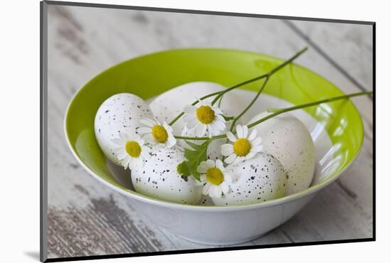 Bowl with Eggs and Daisies-Andrea Haase-Mounted Photographic Print