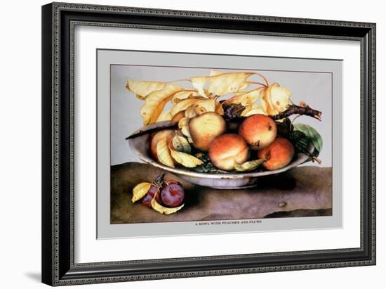 Bowl with Peaches and Plums-Giovanna Garzoni-Framed Art Print