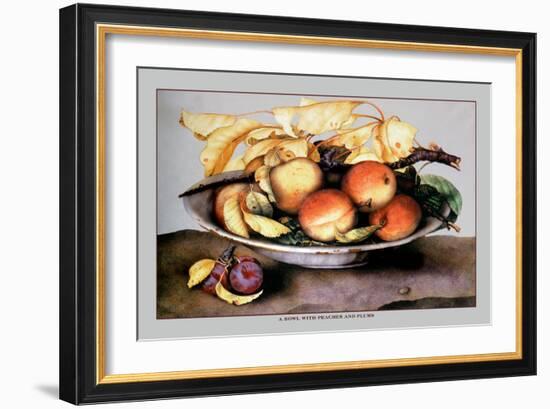 Bowl with Peaches and Plums-Giovanna Garzoni-Framed Art Print