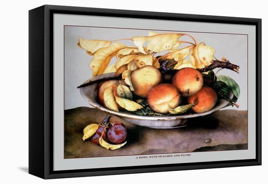 Bowl with Peaches and Plums-Giovanna Garzoni-Framed Stretched Canvas