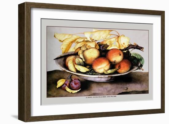 Bowl with Peaches and Plums-Giovanna Garzoni-Framed Art Print